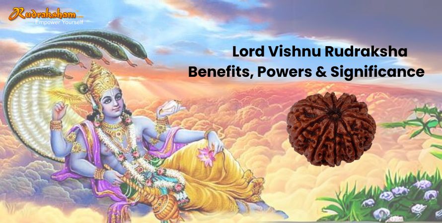 Lord Vishnu Rudraksha | Benefits, Powers & Significance