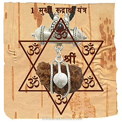 1 Mukhi Rudraksha Yantra Kavach - Ek Mukhi Rudraksha Yantra on Bhoj Patra | Collector One Mukhi Rudraksha Bead Pendant | Ek Mukhi Rudraksha Indian Origin Kaju Dana Rudraksha 