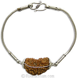 1 Mukhi Rudraksha Silver Bracelet