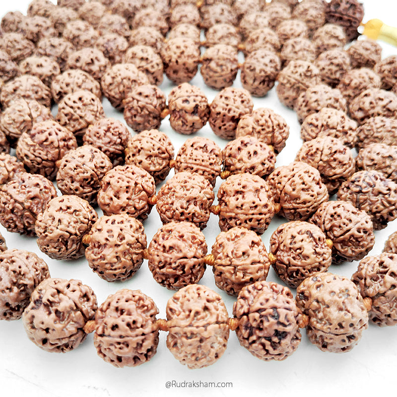 5 Mukhi Rudraksha Nepalese Japa Mala Rosary | 108 Beads Nepal Rudraksha Kantha Mala In Thread