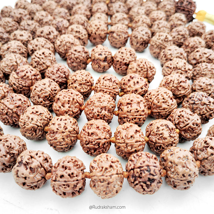 5 Mukhi Rudraksha Nepalese Japa Mala Rosary | 108 Beads Nepal Rudraksha Kantha Mala In Thread