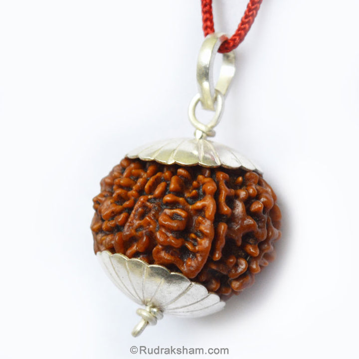 Collector 10 Mukhi Rudraksha Pendant | Dus Mukhi Pendant | Large and High Quality Ten Mukhi Silver Pendant