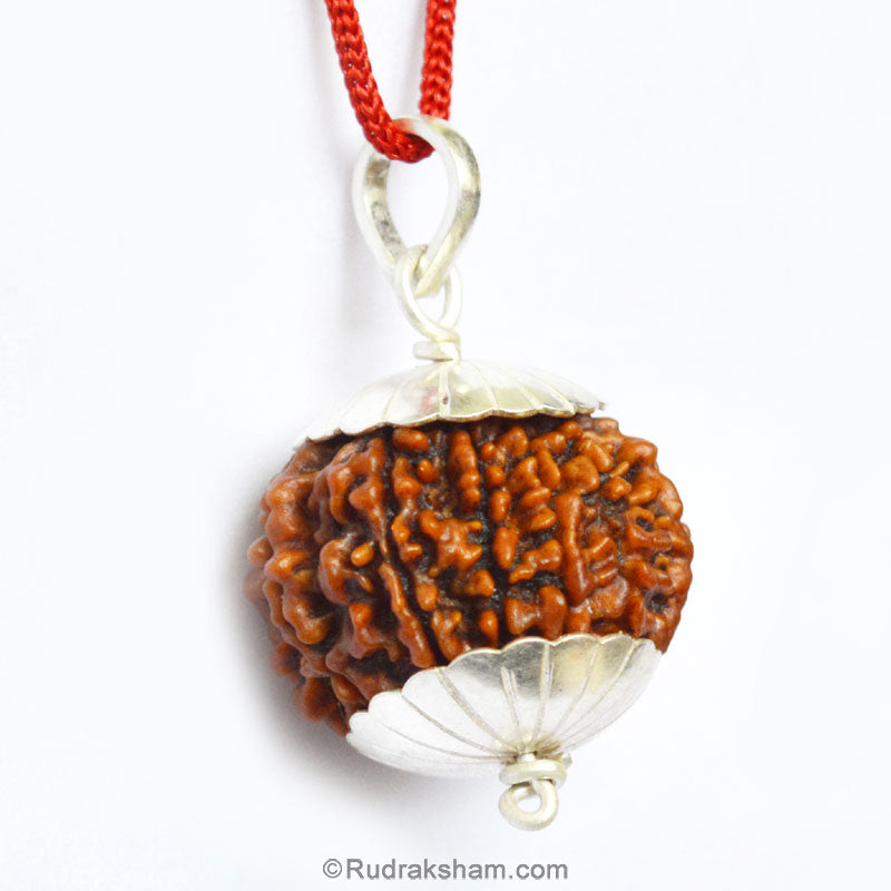  Buy Online at Best Price