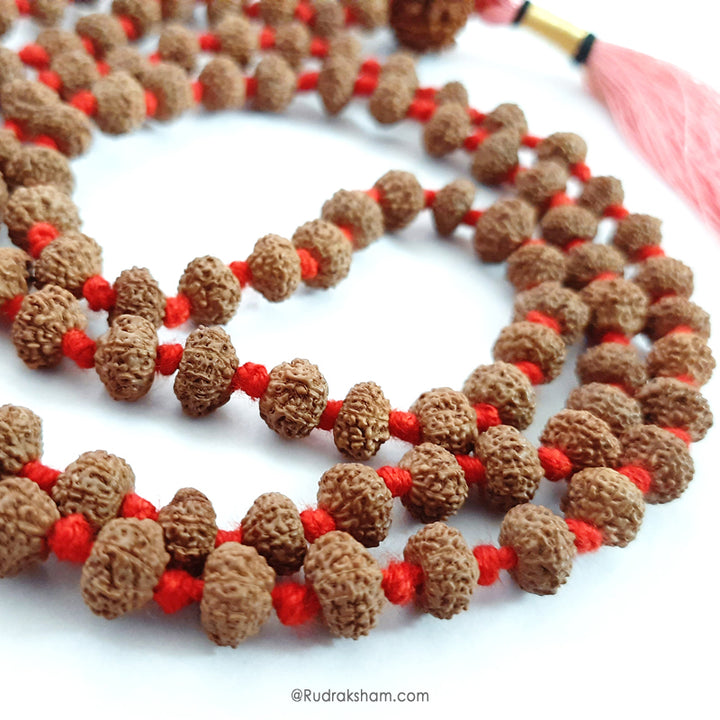 10 Mukhi Rudraksha Indonesian Beads Japa Mala | 108 Beads Java Dus Mukhi Rudraksha Beads Kantha Mala | Dus Mukhi Mala Rosary