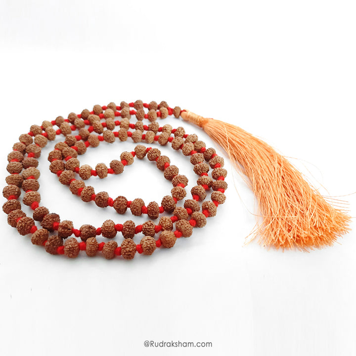 10 Mukhi Rudraksha Indonesian Beads Japa Mala | 108 Beads Java Ten Mukhi Rudraksha Beads Kantha Mala | Dus Mukhi Mala Rosary