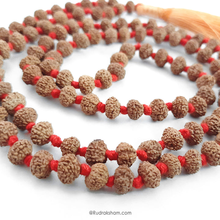 10 Mukhi Rudraksha Indonesian Beads Japa Mala | 108 Beads Java Ten Mukhi Rudraksha Beads Kantha Mala | Dus Mukhi Mala Rosary