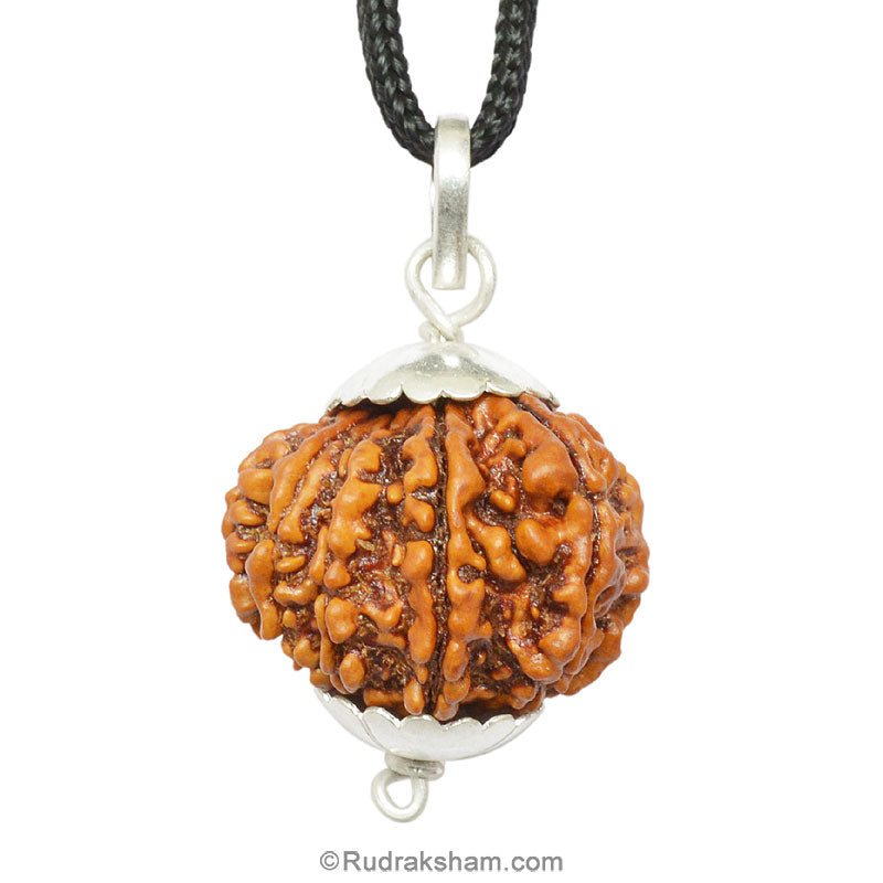 Collector 11 Mukhi Rudraksha Pendant