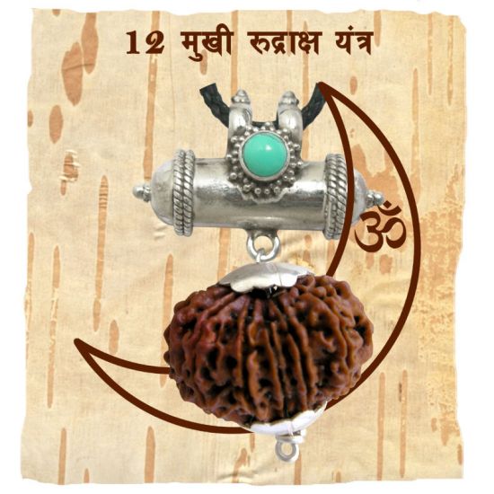 12 Mukhi Rudraksha Bead | Barah Mukhi, Buy Online Twelve Faced Energised Natural Nepal Rudraksha Bead