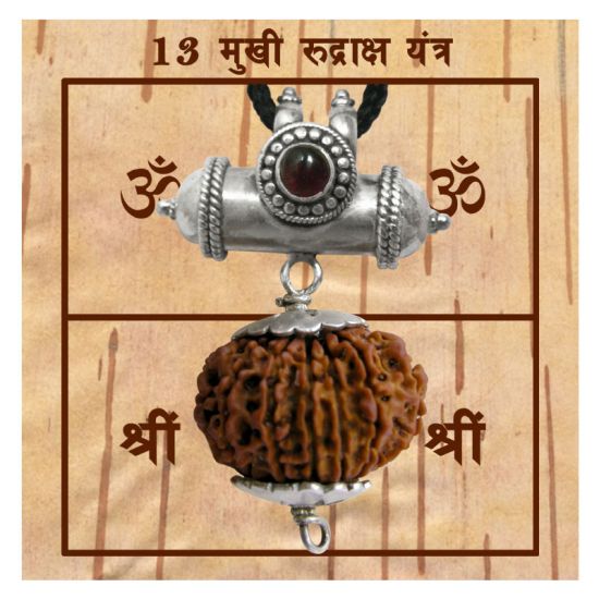 13 Mukhi Rudraksha Bead from Nepal | Buy Original Thirteen Mukhi Rudraksha Spiritual bead For Attraction