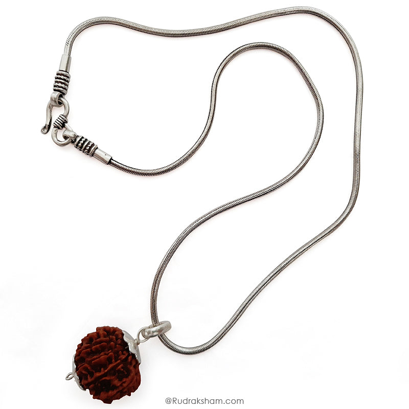 13 Mukhi Rudraksha Bead from Nepal | Buy Original Thirteen Mukhi Rudraksha Spiritual bead For Attraction