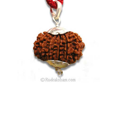  13 Mukhi Rudraksha Bead Pendant | Silver Pendant | Thirteen Mukhi Faced Silver Rudraksha Pendant for Wealth and Riches