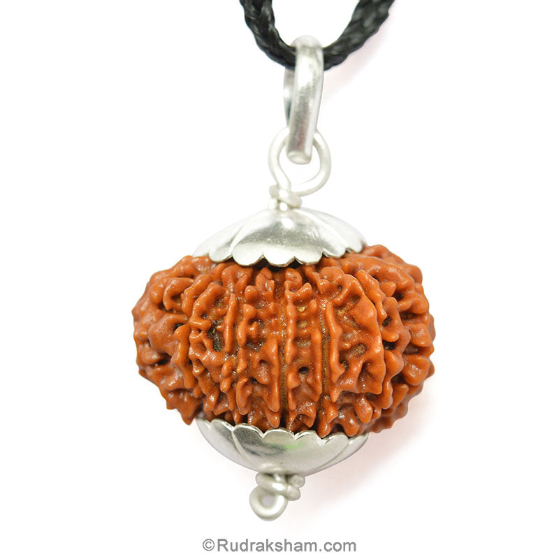 14 Mukhi Rudraksha Bead Pendant The Third Eye Opener Fourteen Mukhi Natural Energised Rudraksha bead Pendant in Silver | 14 Faced Rudraksha Pendant