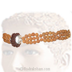 14 Mukhi Rudraksha Headband for Meditation | 14 Mukhi Rudraksha Bead