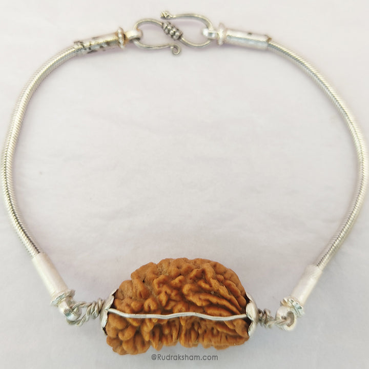  Ek Mukhi Rudraksha Bead Snake Chain Silver Bracelet | Half Moon Shaped Indian One Mukhi Rudraksha Bead Silver Chain Bracelet