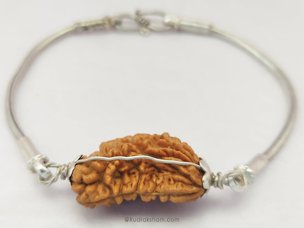 1 Mukhi Rudraksha Silver Bracelet