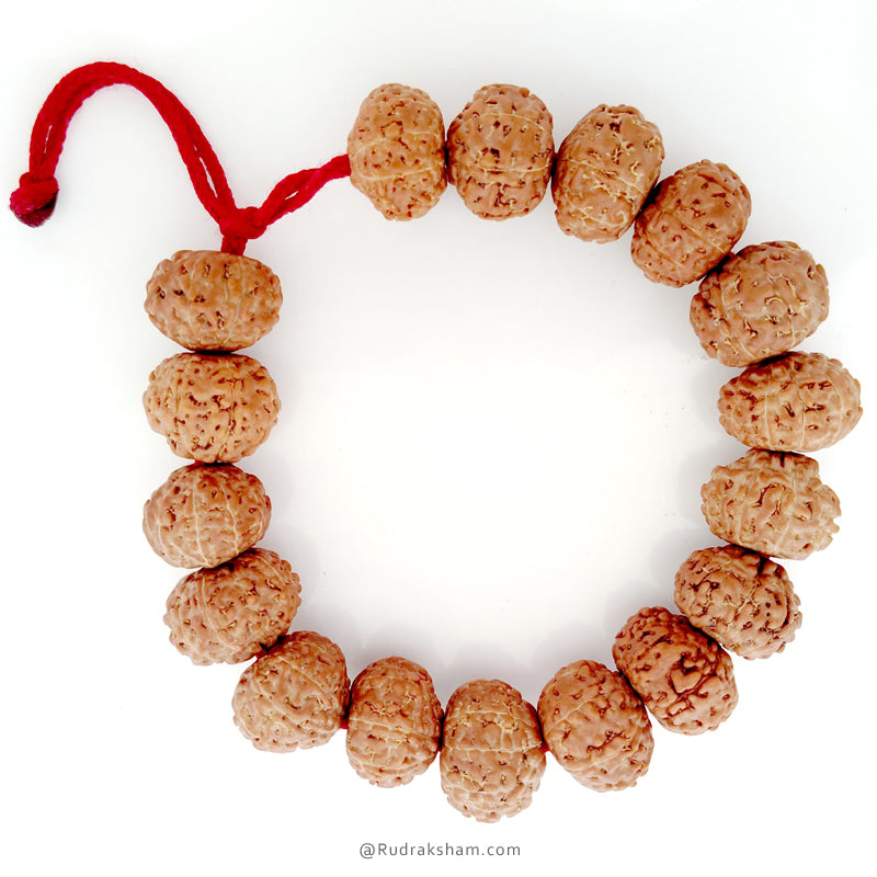 8 Mukhi Rudraksha Bead Mala Bracelet | Eight Mukhi Rudraksha Thread Bracelet