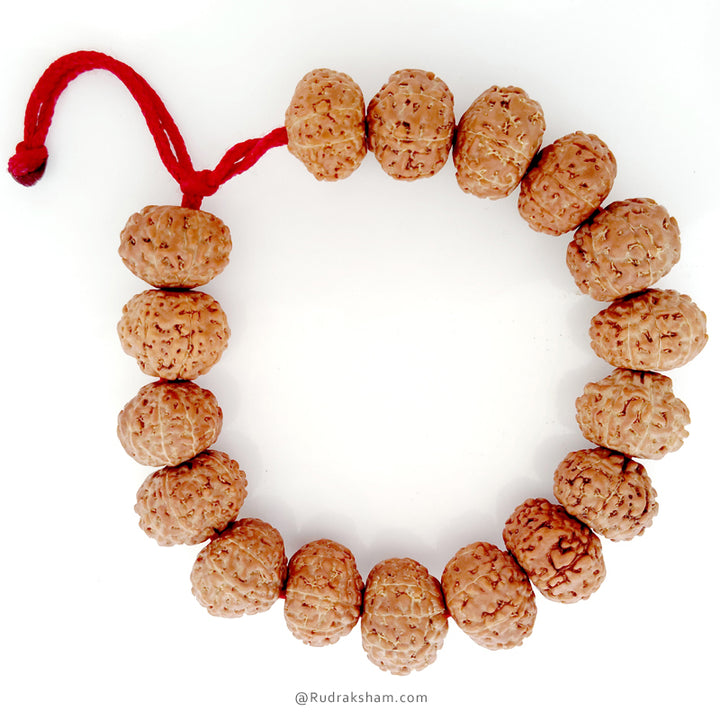 8 Mukhi Rudraksha Bead Mala Bracelet | Eight Mukhi Rudraksha Thread Bracelet