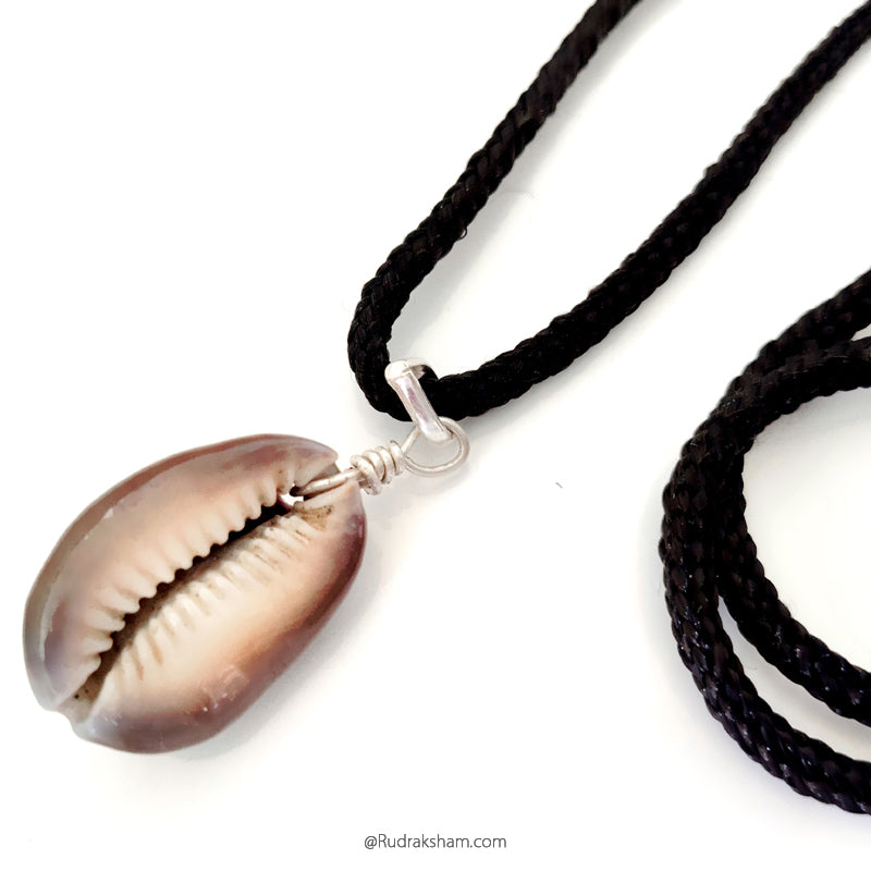  Sea Shell Necklace