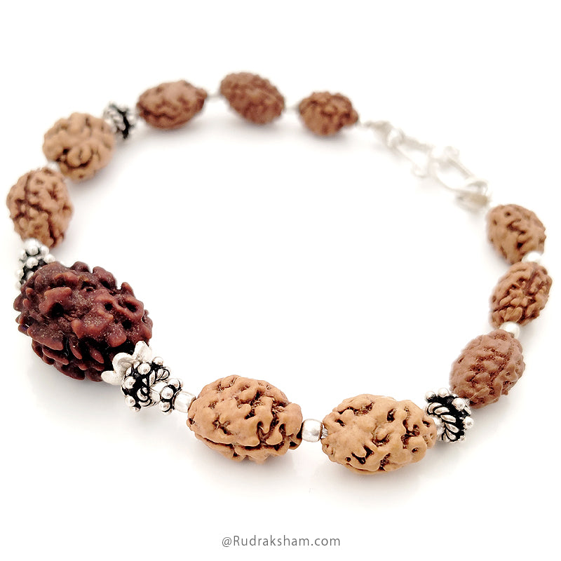 2 Mukhi Rudraksha Bracelet | Two Mukhi Rudraksha Indian & Java Beads Silver Bracelet | Do Mukhi Rudraksha wrist Bracelet with Silver Accessories