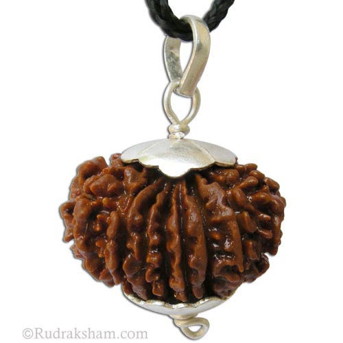 17 Mukhi Rudraksha Bead Pendant | Rare Nepal Seventeen Faced Rudraksha Pendant in Silver Energised | Natural Rudraksha Bead