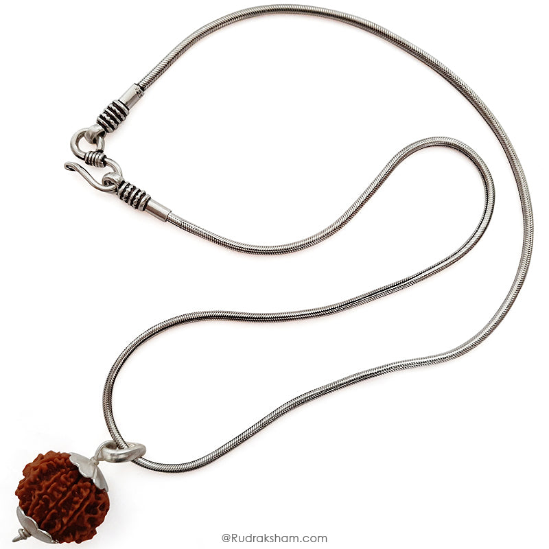 10 Mukhi Rudraksha Bead from Nepal | Dus Mukhi, Ten Faced Original Energised and Authentic Rudraksha Bead, Buy Online