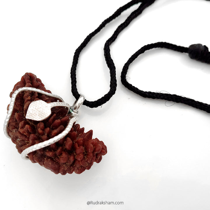 (47 mm) 1 Mukhi Rudraksha Super Collector Bead Pendant | Ek Mukhi Rudraksha Indian Bead | Half Moon Shaped Ek Mukhi Rudraksha Bead | 1 Mukhi Rudraksha Online Super Collector Bead Pendant In Silver