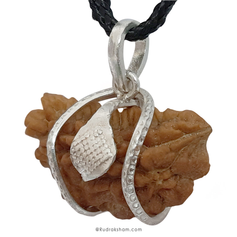 1 Mukhi Rudraksha Silver Snake Pendant | Indian Ek Mukhi Rudraksha Pendant