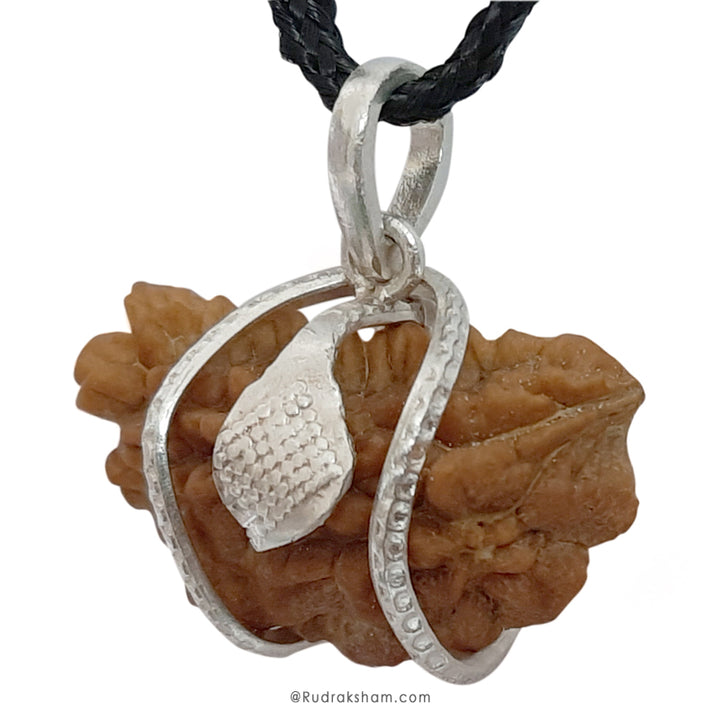 1 Mukhi Rudraksha Silver Snake Pendant | Indian Ek Mukhi Rudraksha Pendant