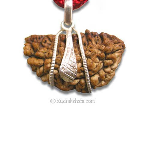 1 Mukhi Rudraksha Silver Snake Pendant | Indian Ek Mukhi Rudraksha Pendant