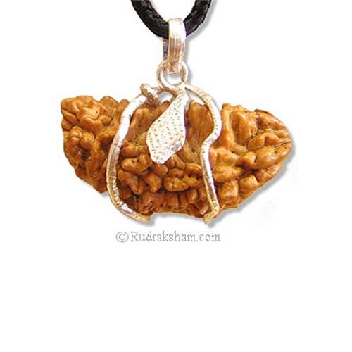 1 Mukhi Rudraksha Collector Silver Snake Pendant | Indian Ek Mukhi Rudraksha for Meditation and Spirituality