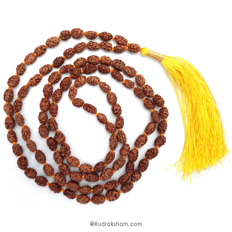 2 Mukhi Rudraksha Indonesian Beads Japa Mala | 108 Beads Java Two Mukhi Rudraksha Beads Kantha Mala | Unity Mala