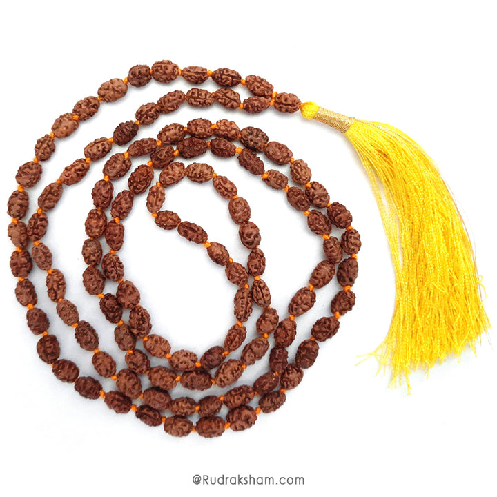  2 Mukhi Rudraksha Indonesian Beads Japa Mala | 108 Beads Java Two Mukhi Rudraksha Beads Kantha Mala | Unity Mala