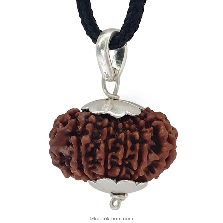 12 Mukhi Rudraksha Bead | Barah Mukhi, Buy Online Twelve Faced Energised Natural Nepal Rudraksha Bead