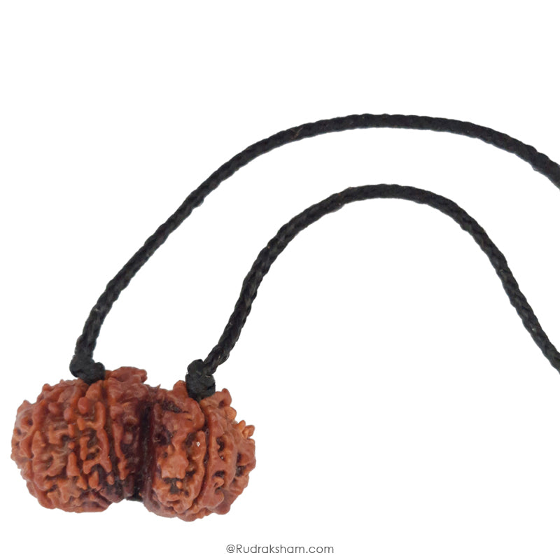 Gauri Shankar Rudraksha Bead | Gauri Shankar | Shiva Parvati Nepal Bead | Original Energised 100% Natural Bead