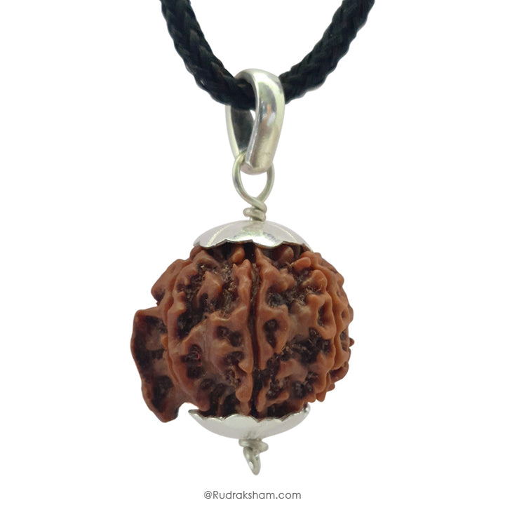 Ganesh Rudraksha Bead | 100% Original Energised Natural Spiritual Ganesha Rudraksha Bead from Nepal