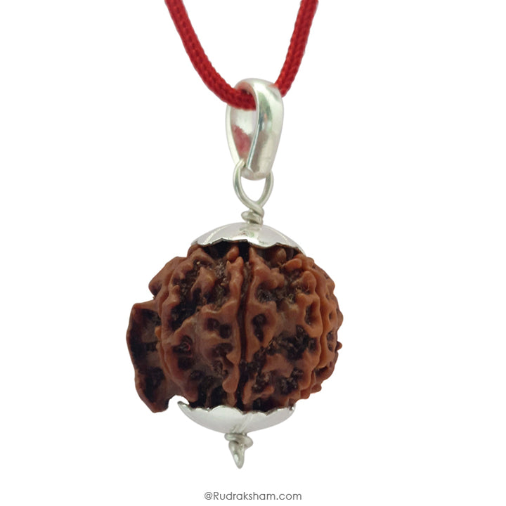 Ganesh Rudraksha Bead | 100% Original Energised Natural Spiritual Ganesha Rudraksha Bead from Nepal