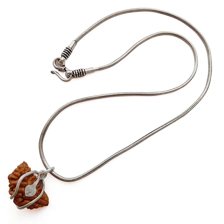 1 Mukhi Rudraksha Bead | Ek Mukhi Rudraksha Indian Origin One Mukhi Rudraksha Bead Kaju Dana Rudraksha | High Quality