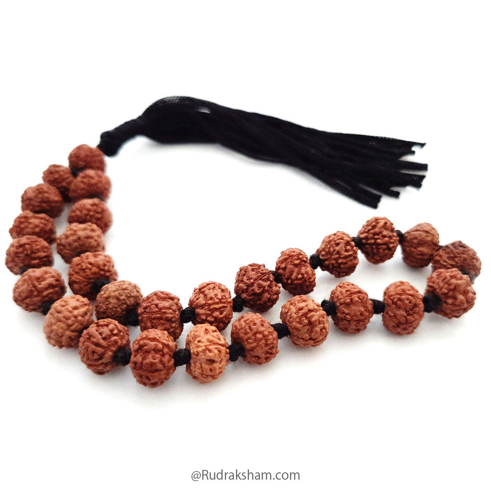  7 Mukhi Rudraksha Indonesian Japa Mala