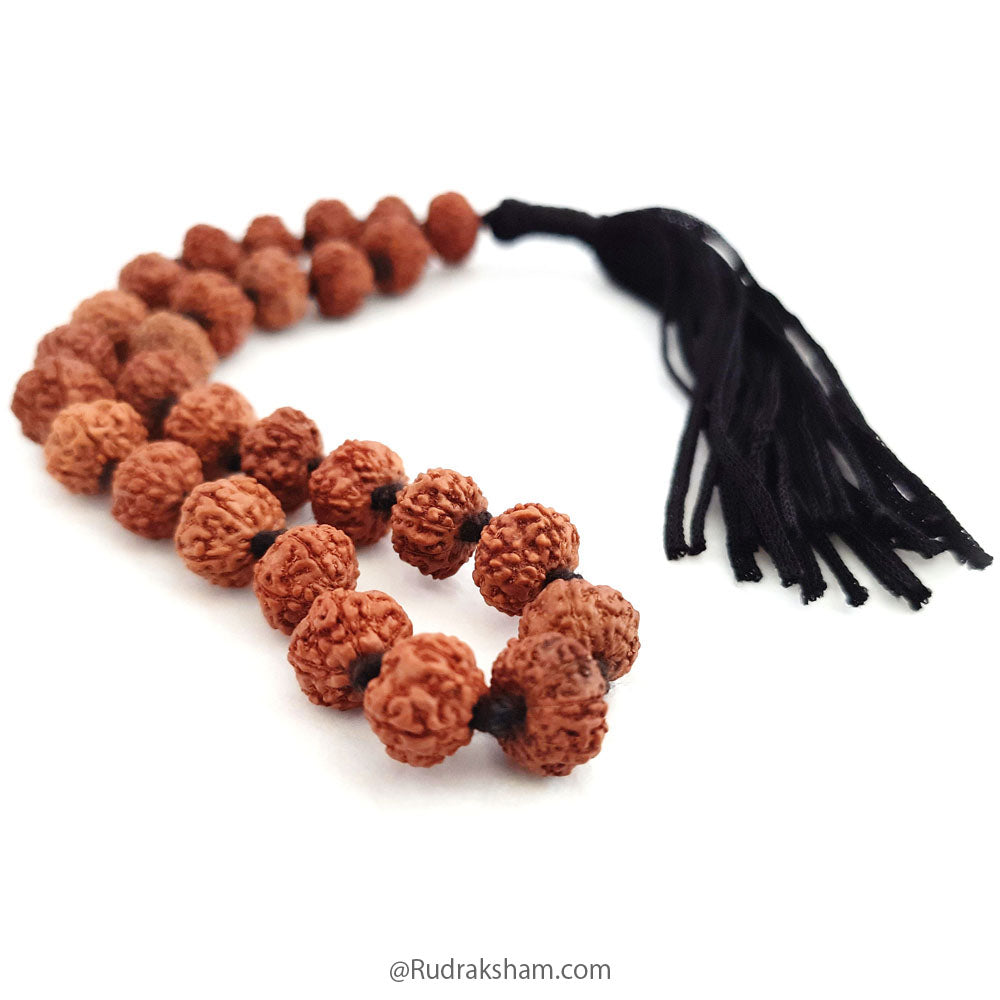  7 Mukhi Rudraksha Indonesian Japa Mala