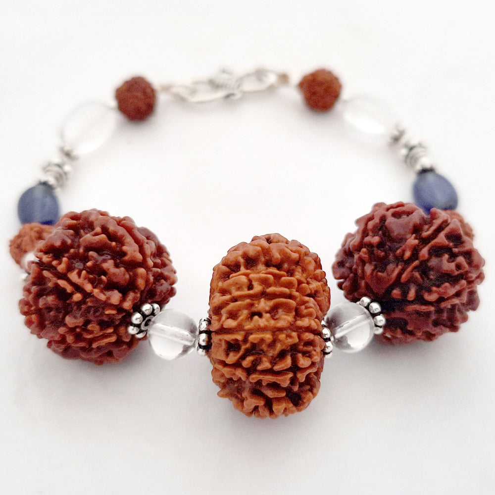  Aquarius Zodiac Sun Sign Bracelet | Kumbh ( Kumbha ) Rashi Bracelet | A Combination of 6 Mukhi Rudraksha