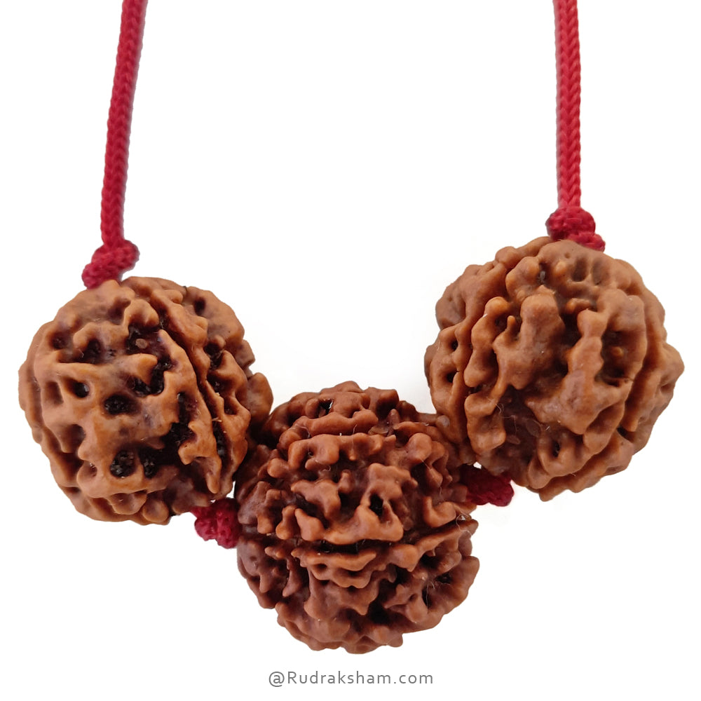 Education Necklace | Saraswati Thread Pendant | Ideal For Students | Combination of 6 Mukhi Rudraksha and 4 Mukhi Rudraksha