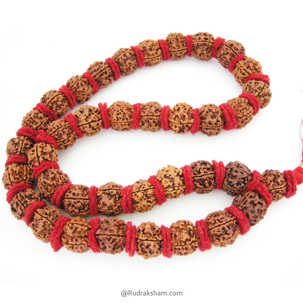 ( 23-24mm ) 5 Mukhi Giant Rudraksha Bead Kantha Mala Necklace 37 Beads | High Quality Giant Collector Grade Rudraksha Beads