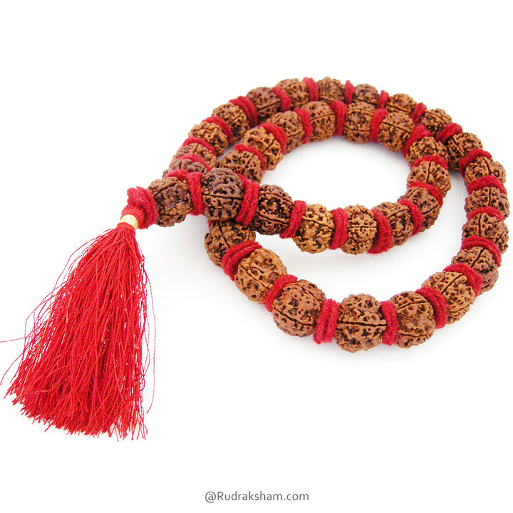 ( 23-24mm ) 5 Mukhi Giant Rudraksha Bead Kantha Mala Necklace 37 Beads | High Quality Giant Collector Grade Rudraksha Beads