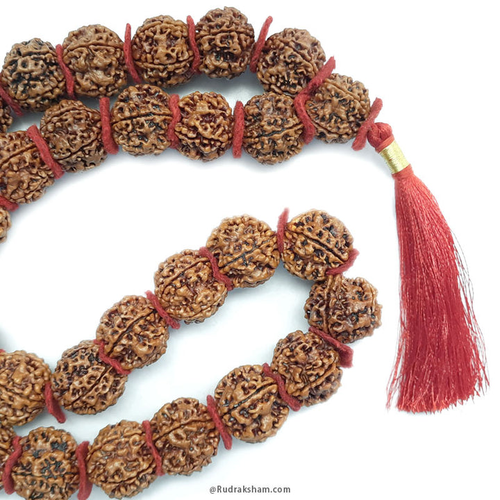 ( 25-27mm ) 5 Mukhi Super Giant Rudraksha Bead Kantha Mala Necklace 33 Beads | High Quality Giant Collector Grade Rudraksha Beads