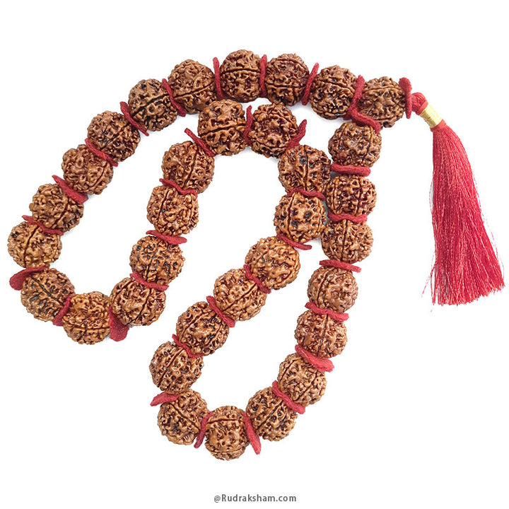 ( 25-27mm ) 5 Mukhi Super Giant Rudraksha Bead Kantha Mala Necklace 33 Beads | High Quality Giant Collector Grade Rudraksha Beads