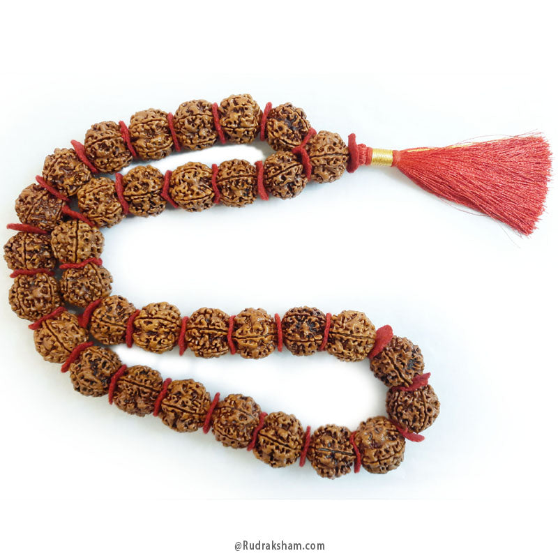 ( 25-27mm ) 5 Mukhi Super Giant Rudraksha Bead Kantha Mala Necklace 33 Beads | High Quality Giant Collector Grade Rudraksha Beads