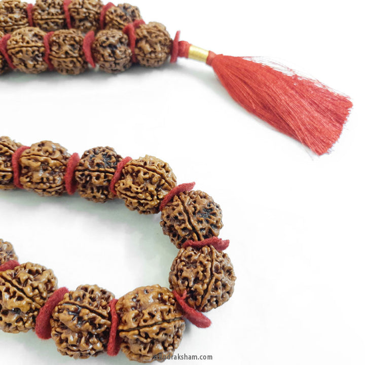 ( 25-27mm ) 5 Mukhi Super Giant Rudraksha Bead Kantha Mala Necklace 33 Beads | High Quality Giant Collector Grade Rudraksha Beads