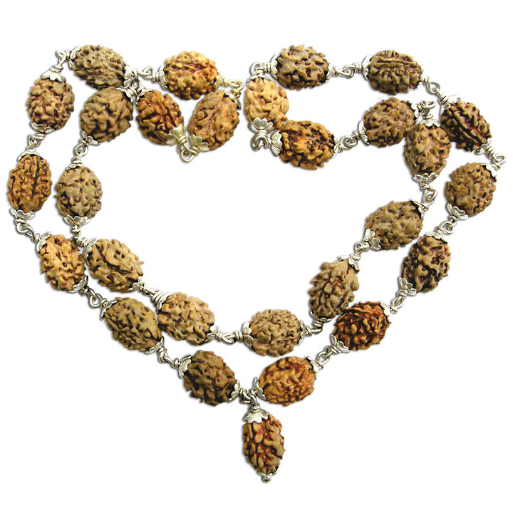 2 Mukhi Rudraksha Beads Mala Necklace | 2 Mukhi Unity Mala | Two Mukhi Silver Caps Mala | Energized Indian Two Faced 27 Beads Mala Rosary