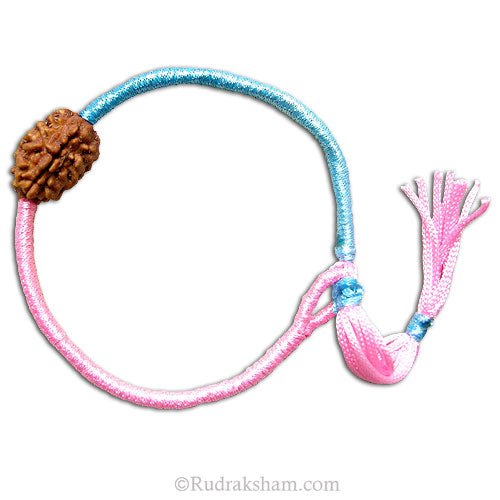  2 Mukhi Wrist Band - 1