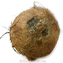 Two Eye Coconut Nariyal - Large